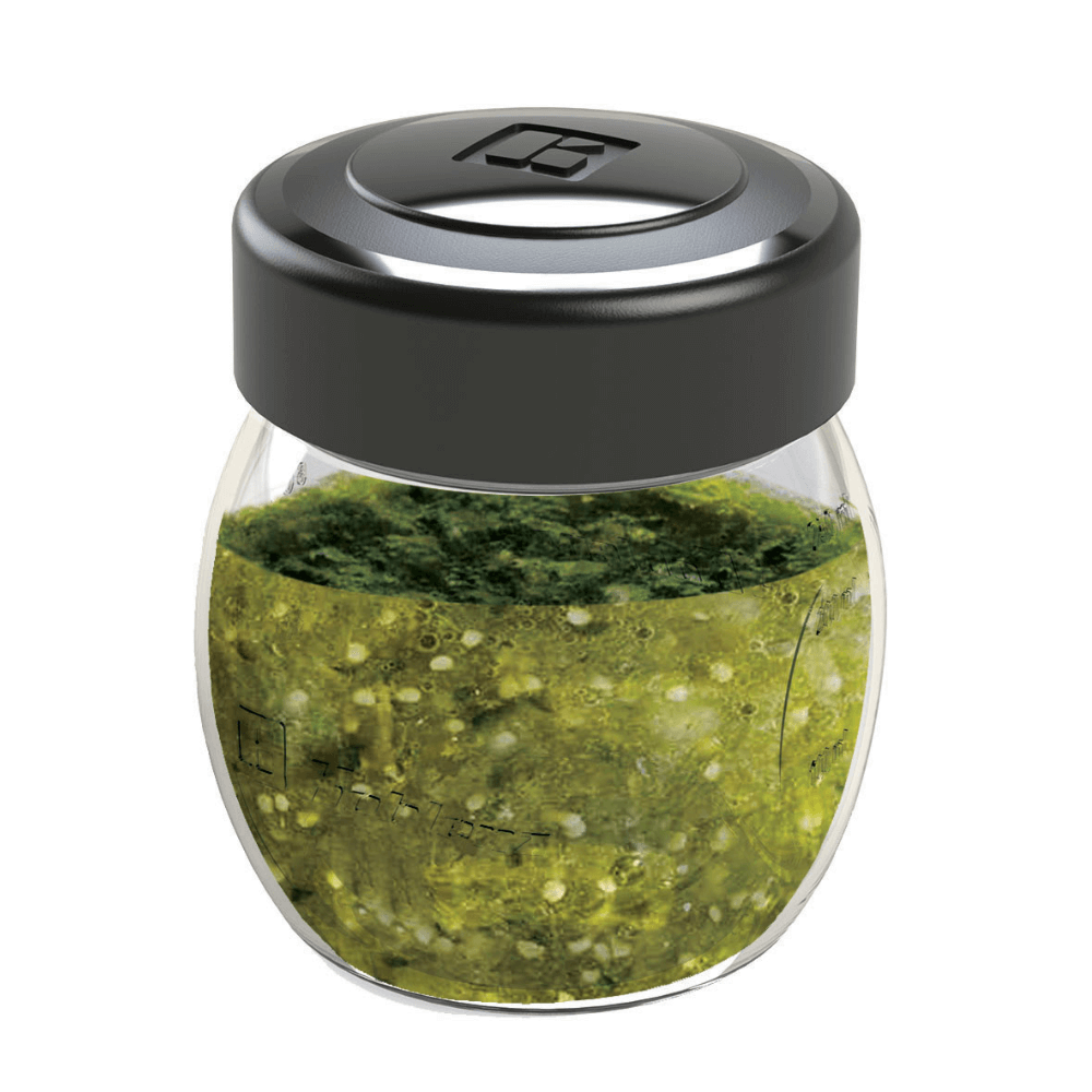 2 Mini Vasos de Licuadora de 300 ml para Puré & Salsa - Koblenz Electrica